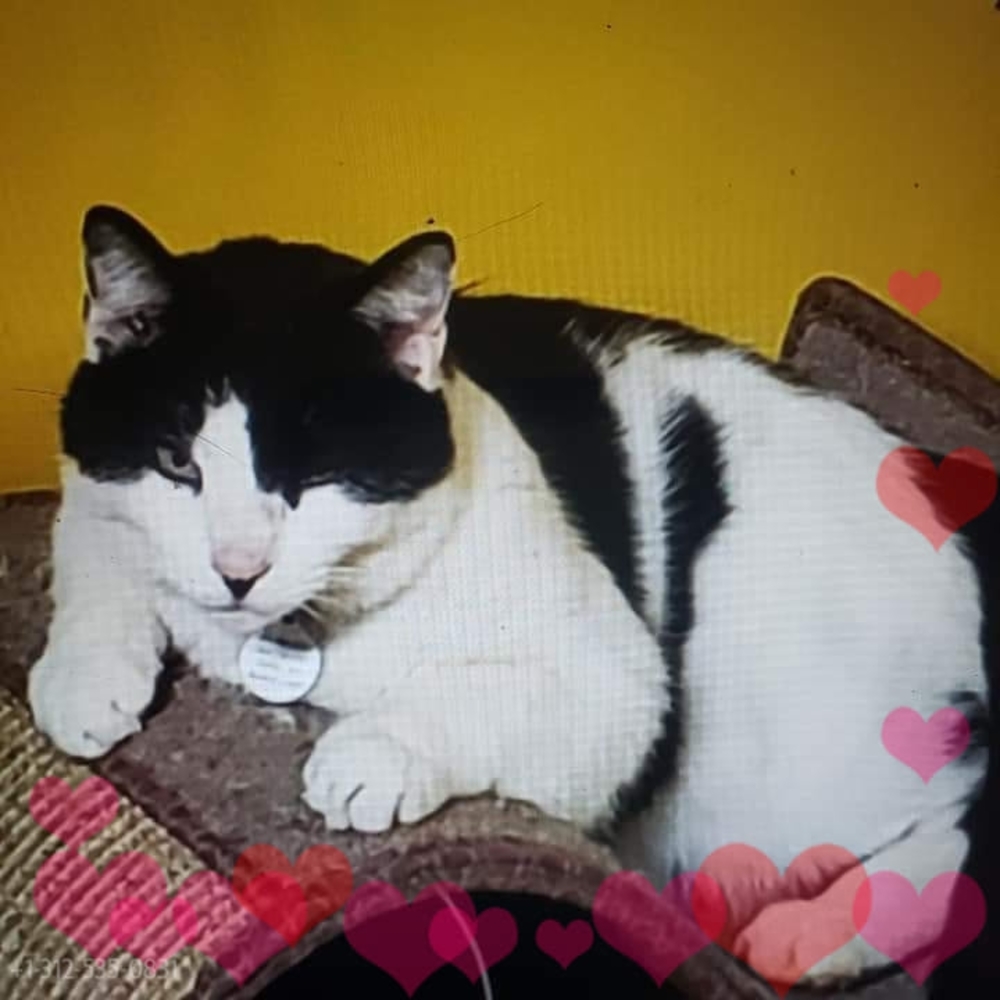 Meet your Posher, Tonya